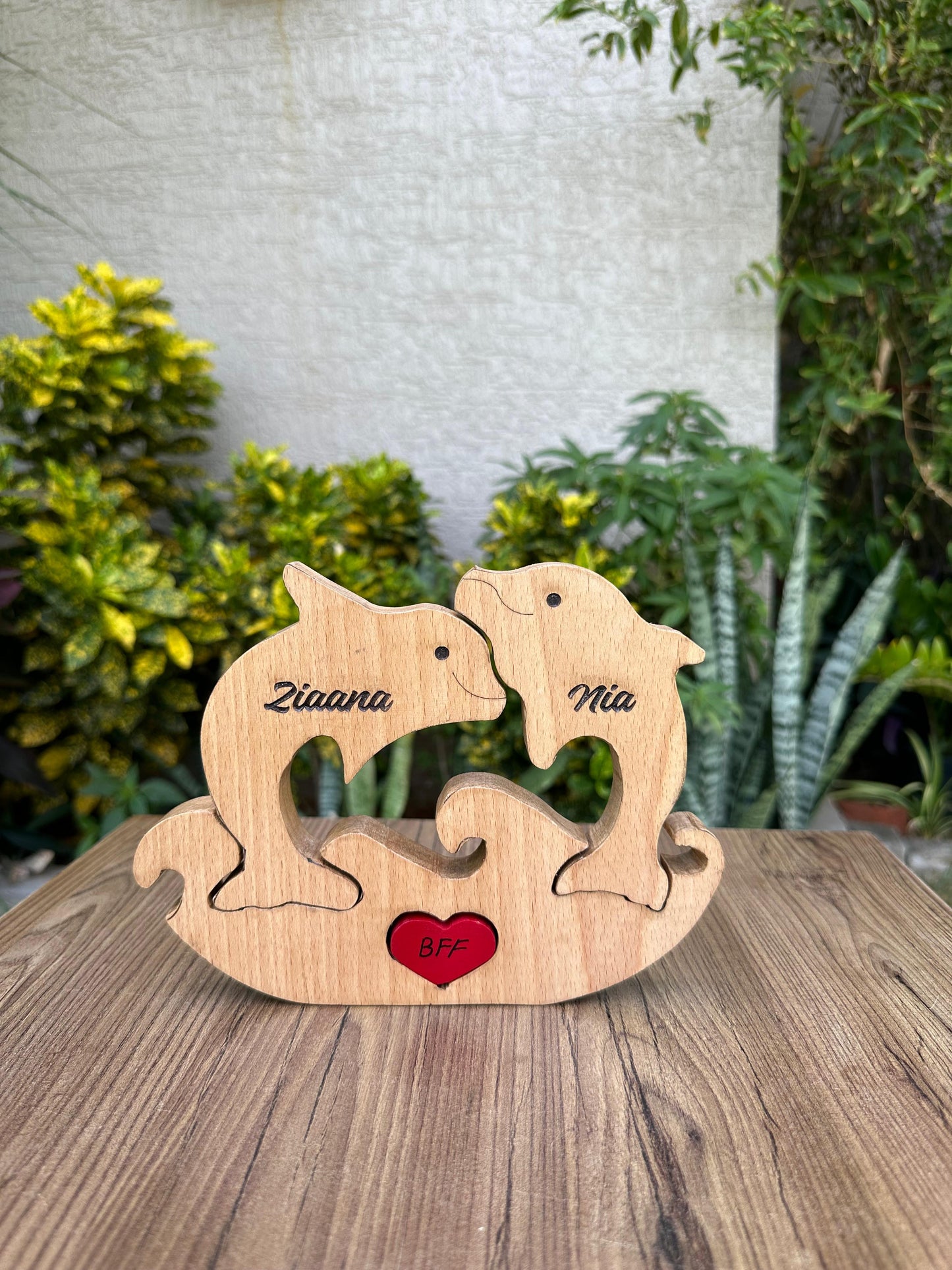 Dolphin family of Two