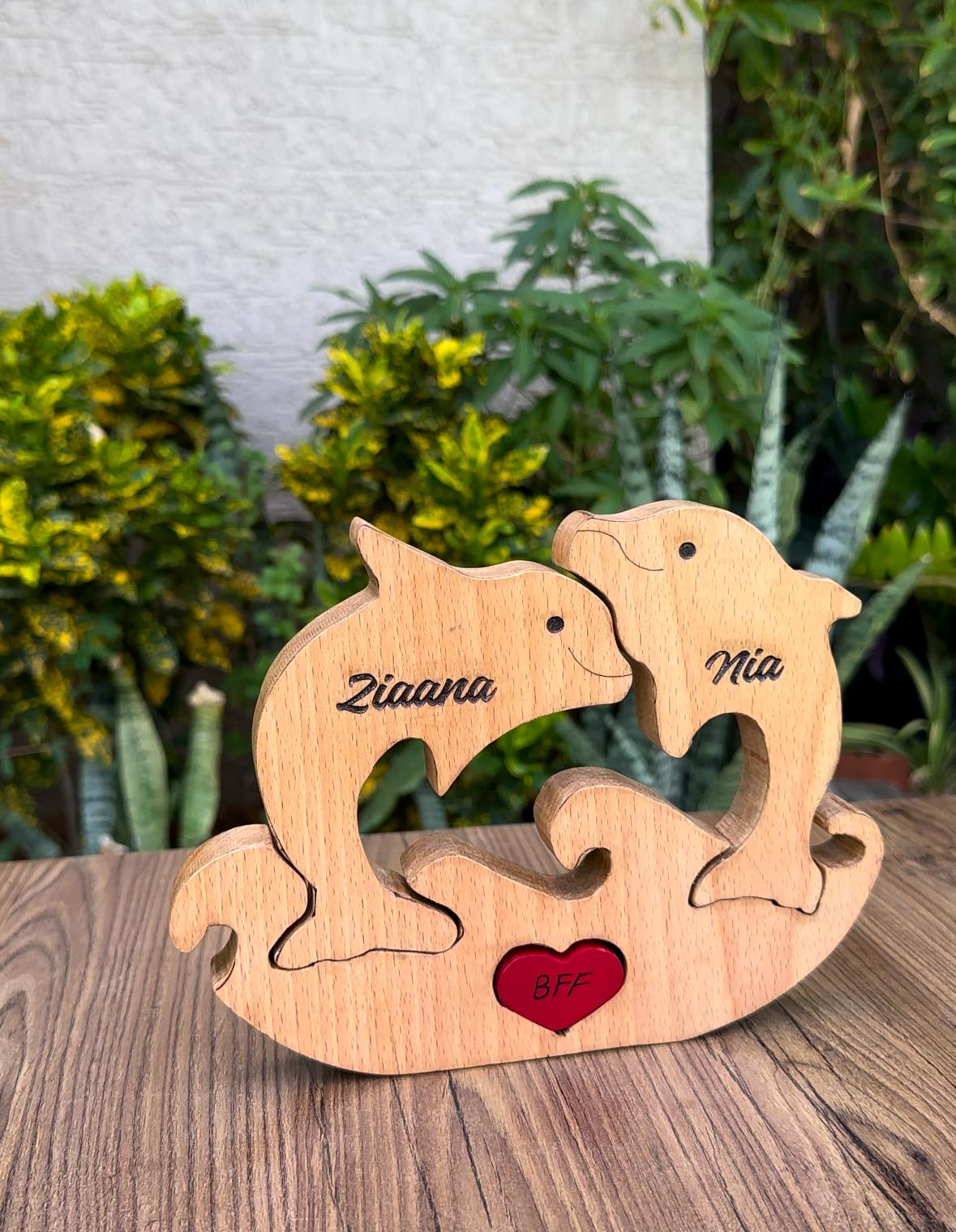 Dolphin family of Two