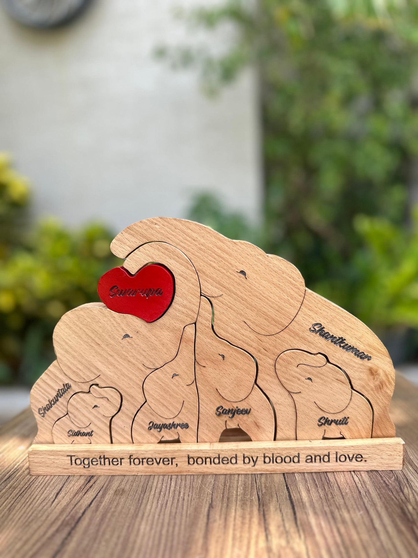 Elephant family of Six