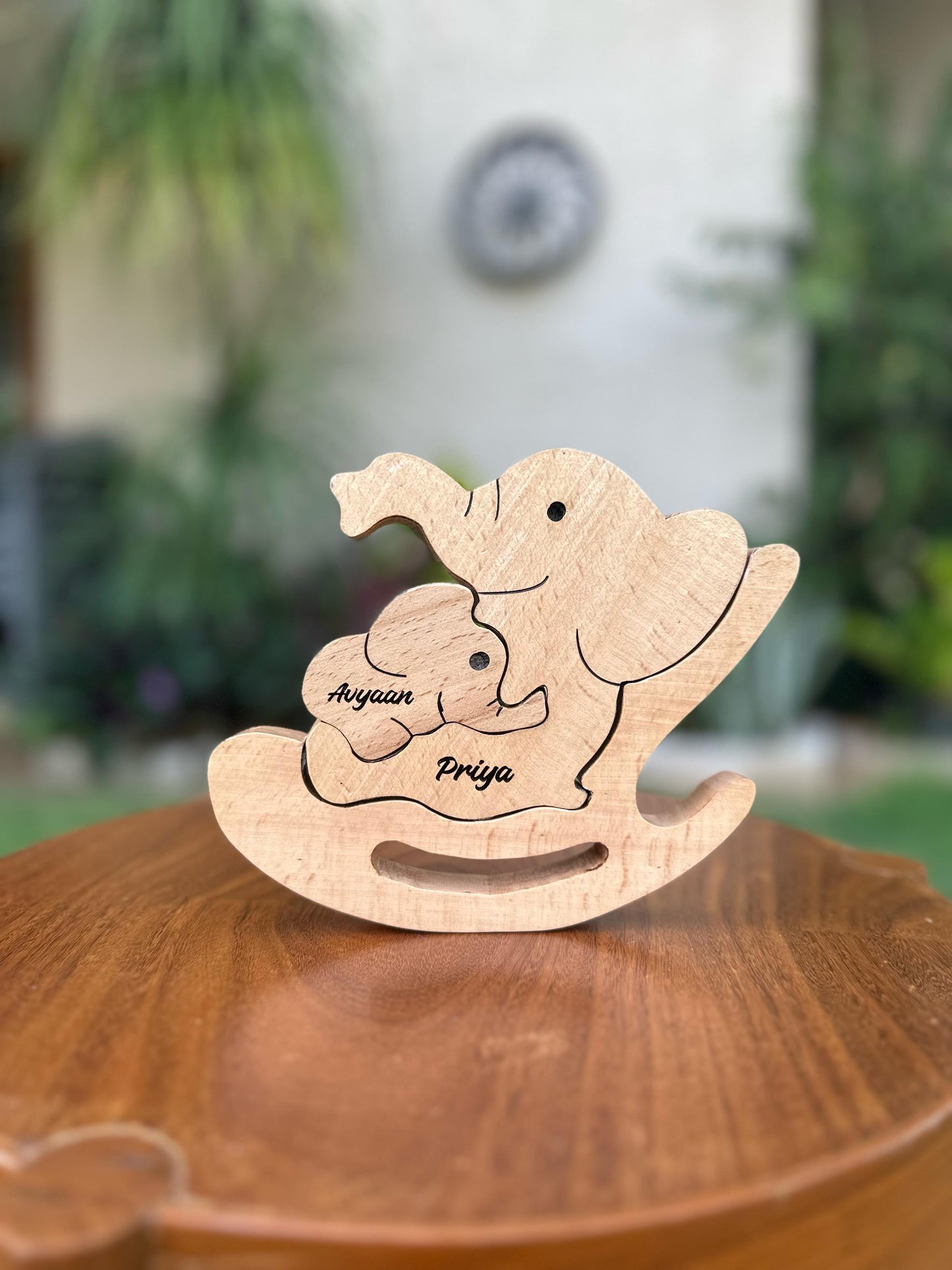 Elephant mom and 1 baby